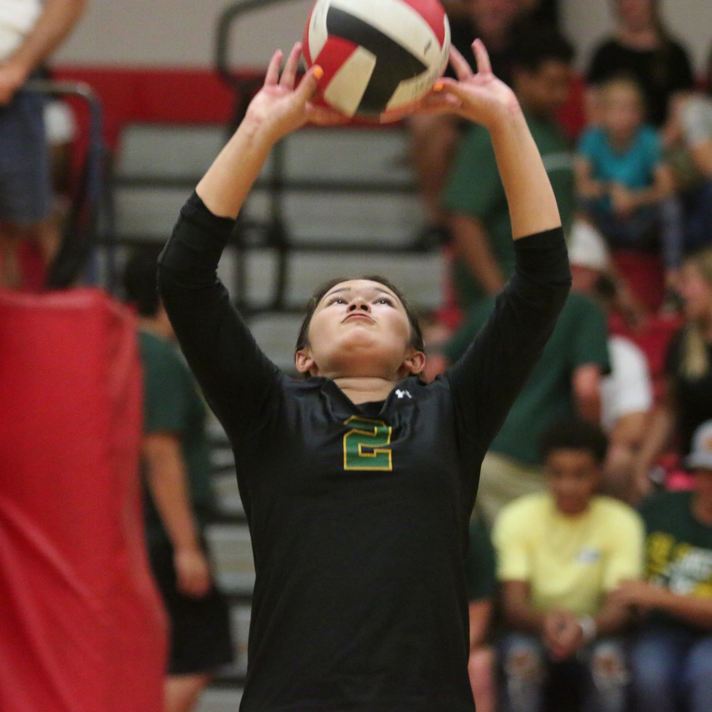 Golden Bears open season with victory over Bullpups